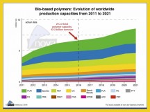 Nieuw onderzoek naar marktsituatie biobased polymeren bij nova-Institute
