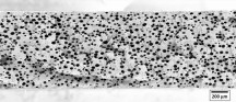 Promix Microcell-schuimstructuur met < 50 ?m cellen op het voorbeeld van een PET-folie (Foto: Promix Solutions AG)