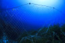 Composteerbare visnetten: een einde aan spooknetten in de oceanen?